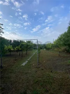 Reco Teren intravilan in Podgoria 2282mp - foto 3