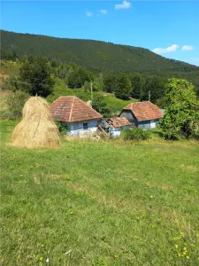 Reco Cabana din lemn in Bulz - foto 2