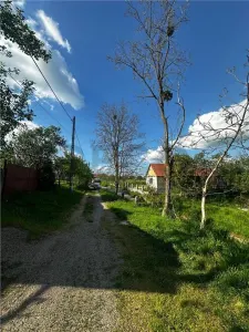 Reco, Casa cu teren, Lugasu de Sus, la 32 km de Oradea - foto 20