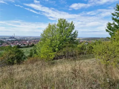 RECO Teren  intravilan- panorama asupra orasului -str. Caisilor - foto 12