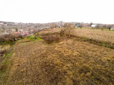 RECO, Casa cu 9168 mp teren intravilan, Sistera, Cetariu, Aproape de Oradea - foto 14