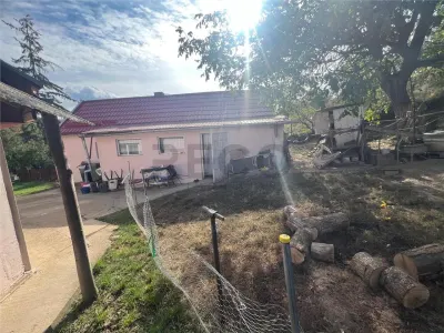 RECO, Casa cu 9168 mp teren intravilan, Sistera, Cetariu, Aproape de Oradea - foto 4