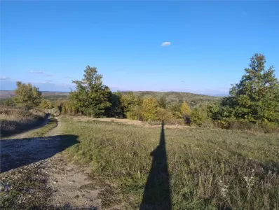 PECO Teren intravilan Saldabagiu De Munte - foto 3