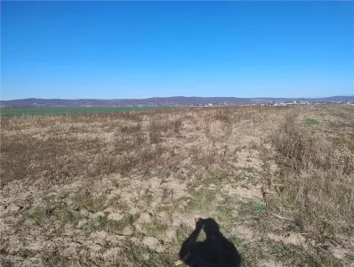 RECO Teren intravilan, Alparea - foto 1