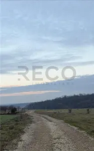 RECO Teren intravilan langa padure Pausa - foto 1
