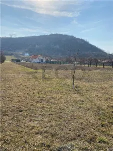 RECO  Teren intravilan in zona Alesd  Sat  Subpiatra 800mp - foto 2