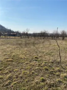 RECO  Teren intravilan in zona Alesd  Sat  Subpiatra 800mp - foto 4