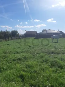 RECO Teren intravilan Marghita - foto 4