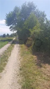 RECO, teren intravilan, Zona Sinteu, Bihor - foto 3
