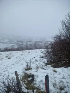 RECO, teren extravilan, Zona Sinteu, Bihor - foto 2