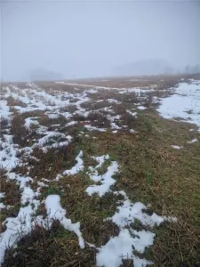 RECO, teren extravilan, Zona Sinteu, Bihor - foto 4