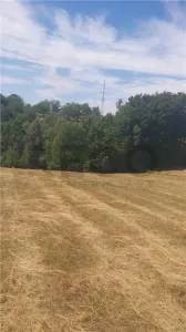 RECO, teren extravilan, Zona Sinteu, Bihor - foto 5