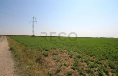 RECO, teren extravilan, Zona Sinteu, Bihor - foto 8