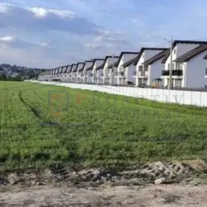 Oportunitate Dezvoltatori | Teren intravilan | 92 ari | Scheia | T-7835 - foto 3