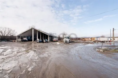 RECO . Proprietate industriala Tileagd . - foto 7