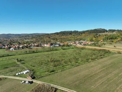 RECO, Teren cu livada de ciresi, Zona Auseu, Bihor - foto 11
