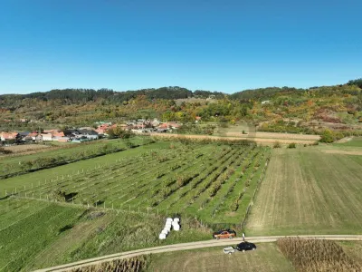 RECO, Teren cu livada de ciresi, Zona Auseu, Bihor - foto 10