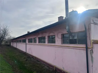 Hala industriala de vanzare in Marghita – 930 mp utili, teren 2470 mp, toate utilitatile - foto 10