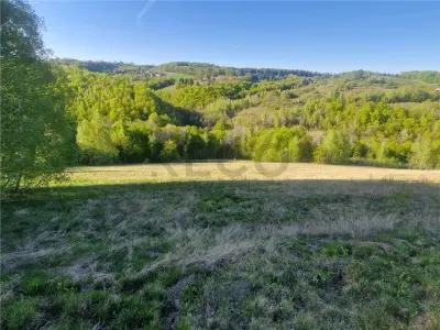 RECO, teren intravilan, Zona Sinteu, Bihor - foto 2