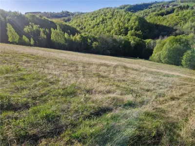 RECO, teren intravilan, Zona Sinteu, Bihor - foto 5