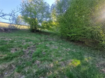 RECO, teren intravilan, Zona Sinteu, Bihor - foto 7