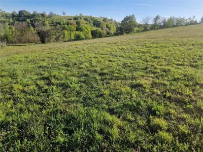 RECO, teren intravilan, Zona Sinteu, Bihor - foto 9
