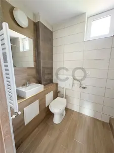 RECO Apartament 2 camere renovat complet, etaj 1/1, intrare separata, zona Louis Pasteur - foto 4