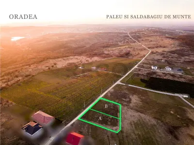 RECO Teren intravilan in Saldabagiu de Munte - foto 2