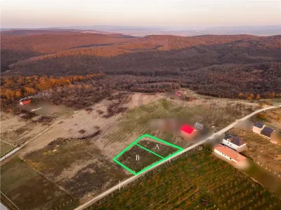 RECO Teren intravilan in Saldabagiu de Munte - foto 12