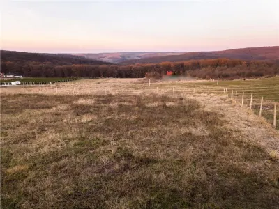 RECO Teren intravilan in Saldabagiu de Munte - foto 8