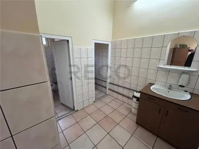Hala industriala de vanzare in Marghita – 650 mp hala + birouri 200 mp, teren 3479 mp - foto 8