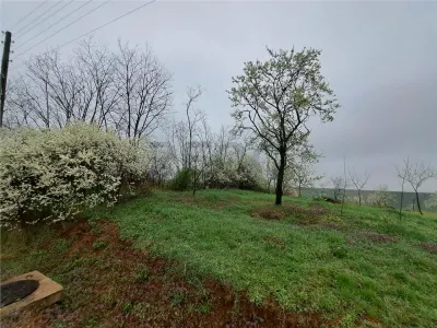 RECO teren Viisoara - Viisoara