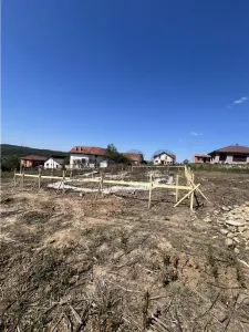 RECO Casa 3 camere lux in Paleu - foto 9