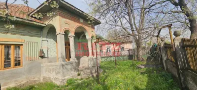 Casa si teren,vita de vie,Zvorsca,Dolj - foto 3