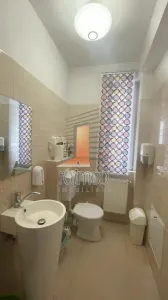 Piata Muncii, vila  moderna, 380 mp,  11 camere - foto 9