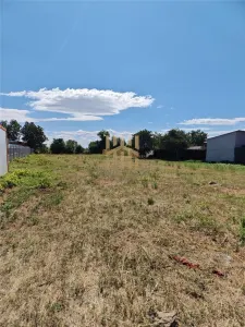 Teren intravilan construibil de vanzare  , reper Primaria Aricestii Rahtivani - foto 12