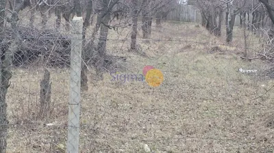 Teren de vanzare Bucium 4300mp - foto 4