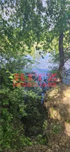 BALTA   15 ha si  pădure de plop și stejar 14,5 ha – 295.000 mp – Drăgănești, județul Olt - foto 4