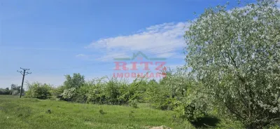 BALTA   15 ha si  pădure de plop și stejar 14,5 ha – 295.000 mp – Drăgănești, județul Olt - foto 10