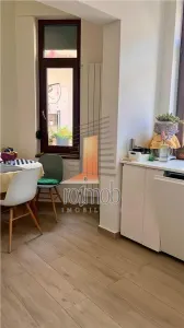 Apartament 5 camere in vila, etajul 1/S+P+1+M, zona Icoanei-Eminescu - foto 15