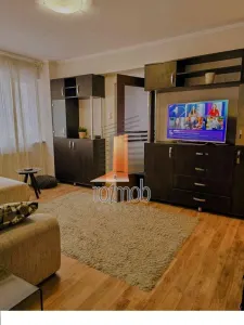 Sala Palatului, 2 camere, renovat, mobilat si utilat - foto 3