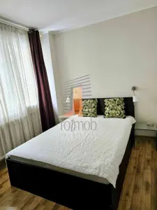 Sala Palatului, 2 camere, renovat, mobilat si utilat - foto 4