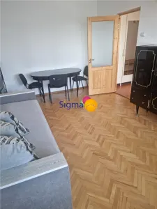 Alexandru cel Bun, Piata Voievozilor, apartament liber - foto 13