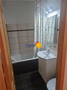 Alexandru cel Bun, Piata Voievozilor, apartament liber - foto 10