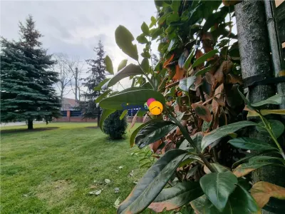 Vila Mediteraneana deosebita, amplasata într-o locatie de vis, în zona Bucium - foto 20