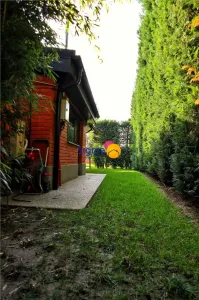 Vila Mediteraneana deosebita, amplasata într-o locatie de vis, în zona Bucium - foto 3