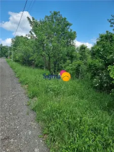 Teren 4300mp, intravillan Bucium, zona manastirii Piatra Sfanta - foto 6