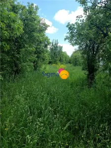 Teren 4300mp, intravillan Bucium, zona manastirii Piatra Sfanta - foto 12