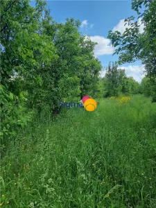 Teren 4300mp, intravillan Bucium, zona manastirii Piatra Sfanta - foto 8