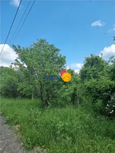 Teren 4300mp, intravillan Bucium, zona manastirii Piatra Sfanta - foto 9